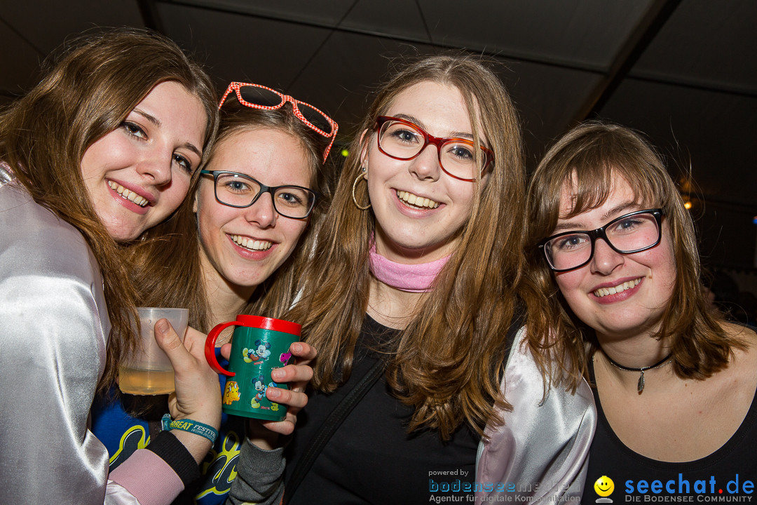 MegaElevenParty Vol.8 - Narrenverein: Bierstetten, 14.01.2017