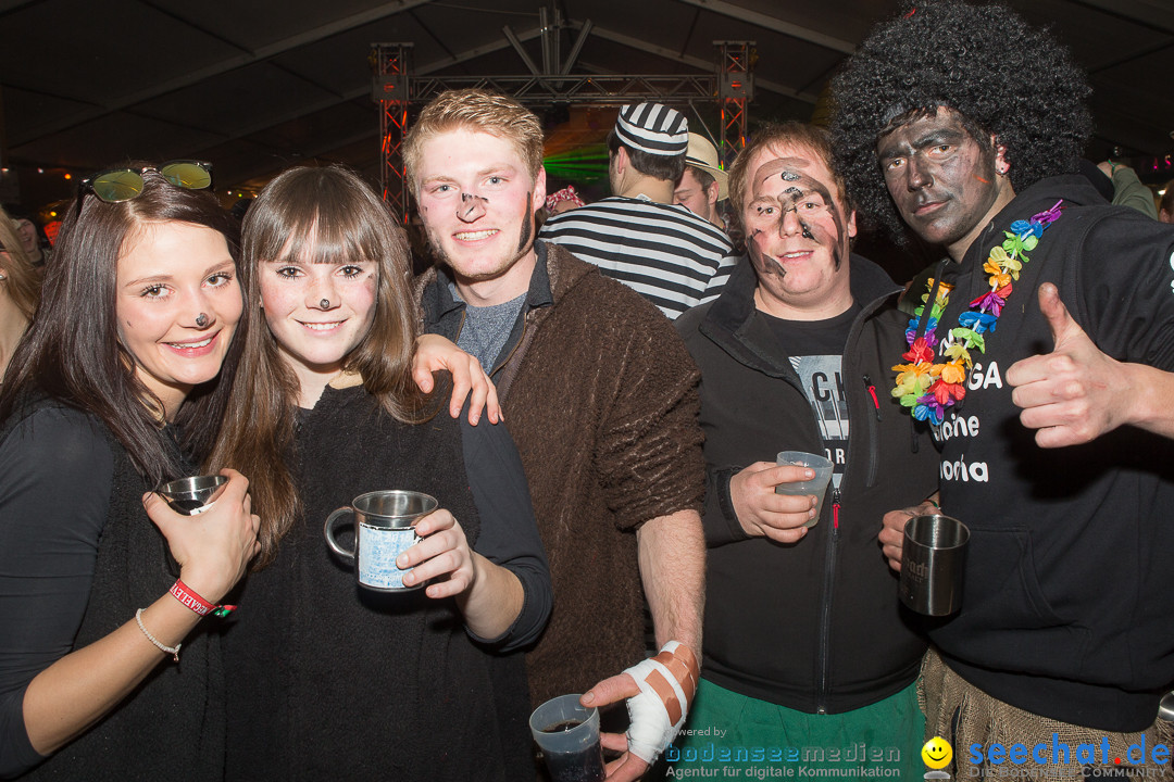 MegaElevenParty Vol.8 - Narrenverein: Bierstetten, 14.01.2017