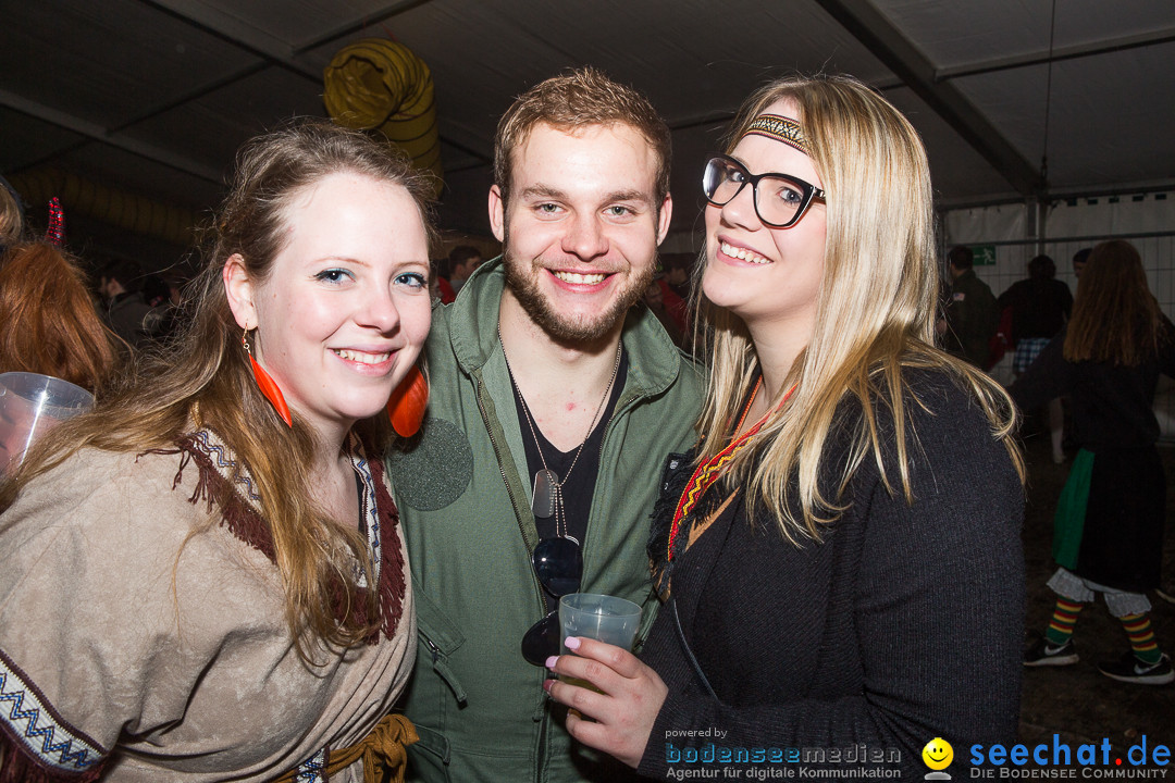 MegaElevenParty Vol.8 - Narrenverein: Bierstetten, 14.01.2017