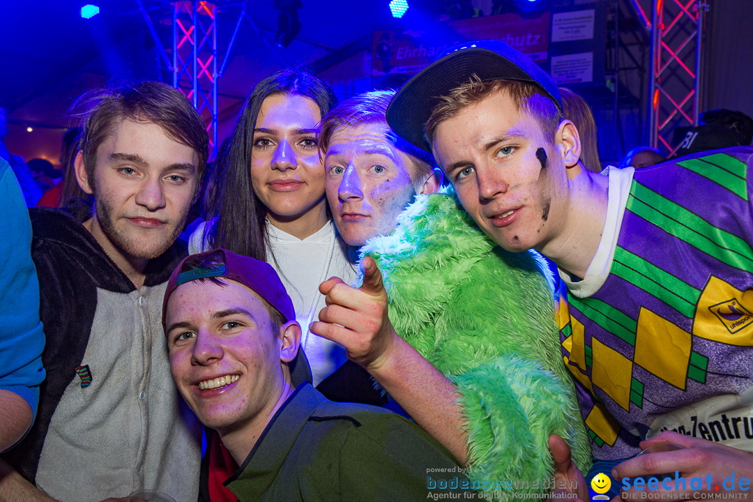 MegaElevenParty Vol.8 - Narrenverein: Bierstetten, 14.01.2017