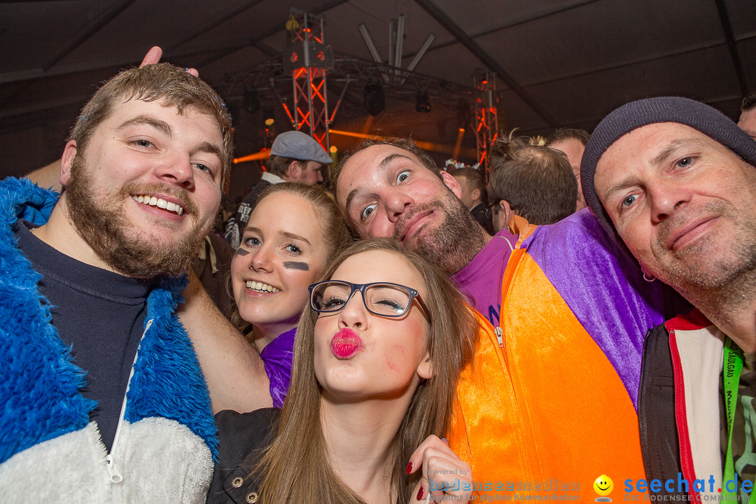 MegaElevenParty Vol.8 - Narrenverein: Bierstetten, 14.01.2017