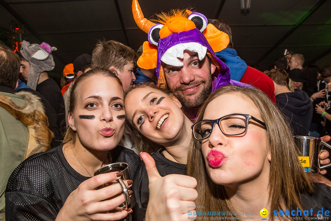 MegaElevenParty Vol.8 - Narrenverein: Bierstetten, 14.01.2017