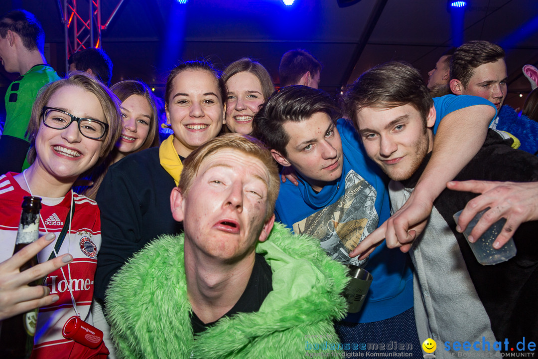 MegaElevenParty Vol.8 - Narrenverein: Bierstetten, 14.01.2017