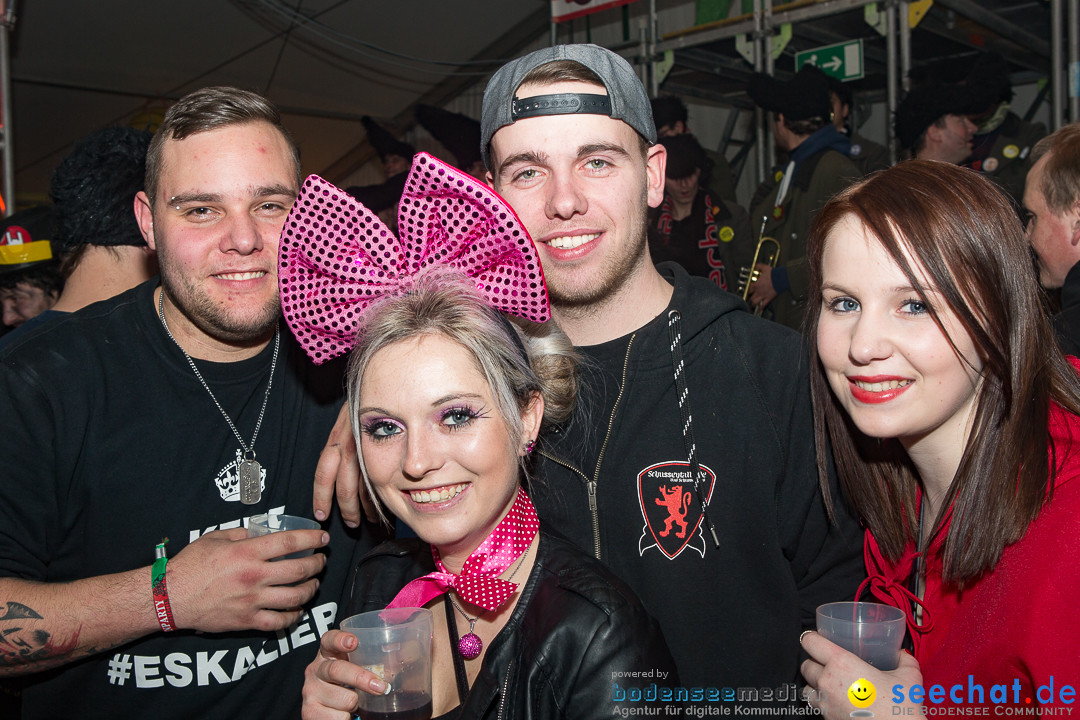 MegaElevenParty Vol.8 - Narrenverein: Bierstetten, 14.01.2017