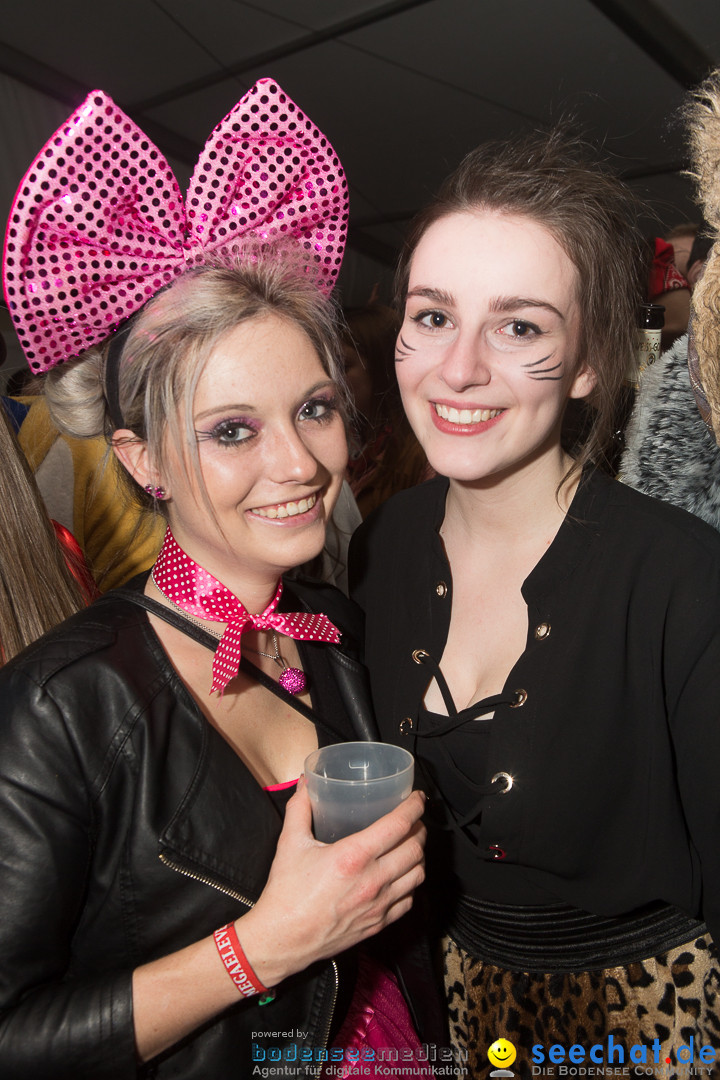 MegaElevenParty Vol.8 - Narrenverein: Bierstetten, 14.01.2017