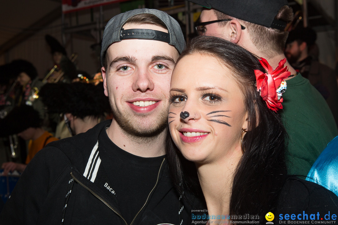 MegaElevenParty Vol.8 - Narrenverein: Bierstetten, 14.01.2017