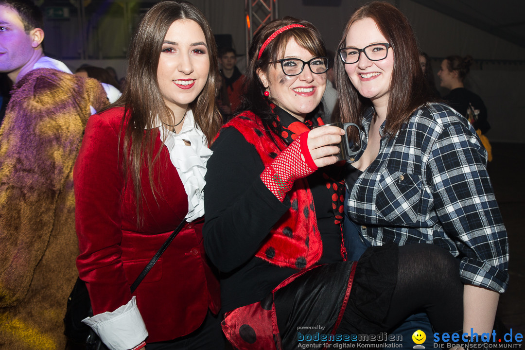 MegaElevenParty Vol.8 - Narrenverein: Bierstetten, 14.01.2017