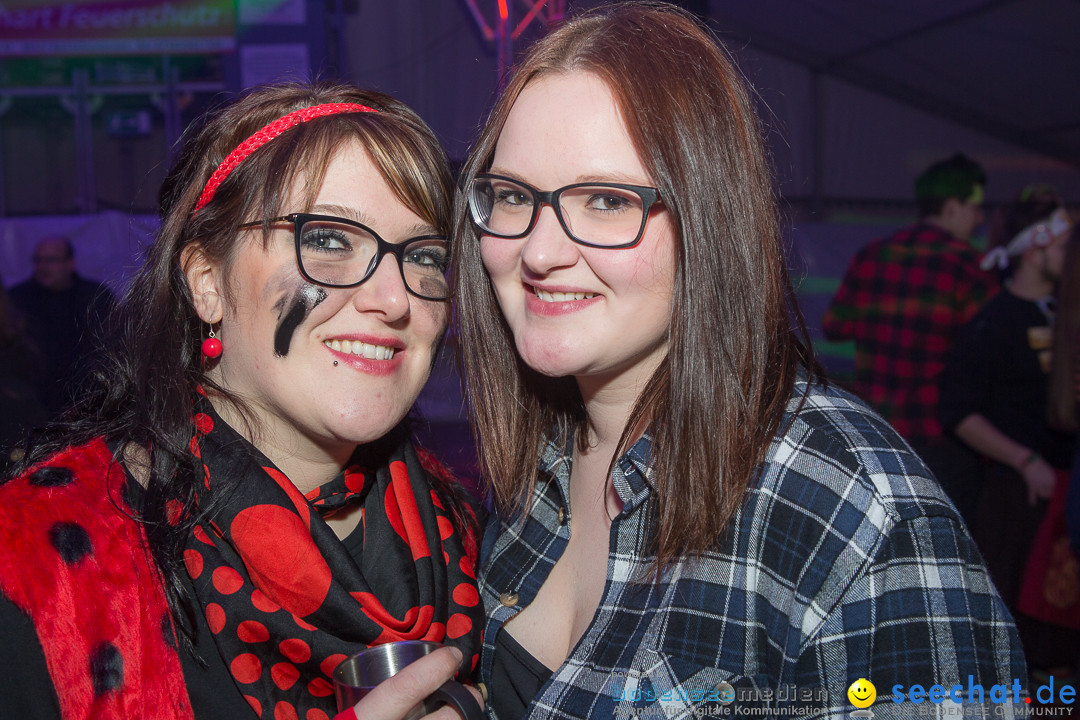 MegaElevenParty Vol.8 - Narrenverein: Bierstetten, 14.01.2017