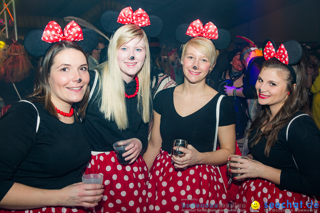 MegaElevenParty Vol.8 - Narrenverein: Bierstetten, 14.01.2017