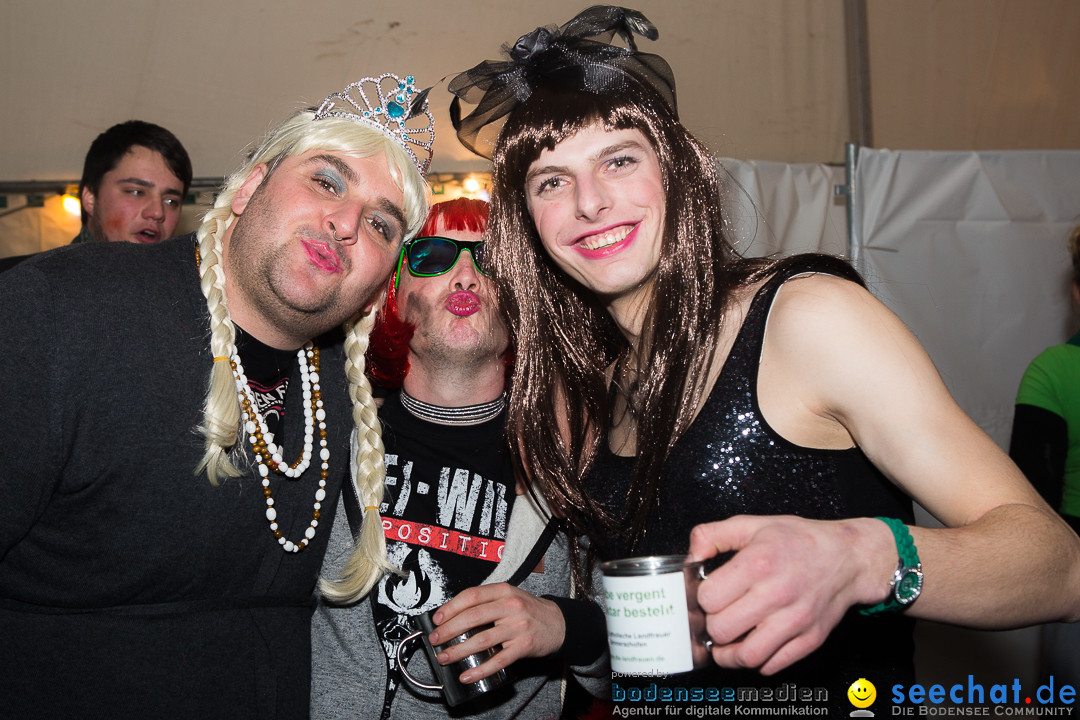 MegaElevenParty Vol.8 - Narrenverein: Bierstetten, 14.01.2017