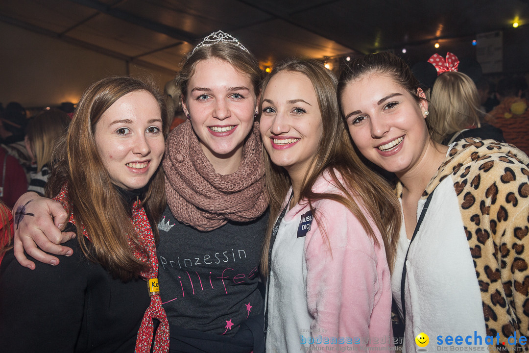 MegaElevenParty Vol.8 - Narrenverein: Bierstetten, 14.01.2017