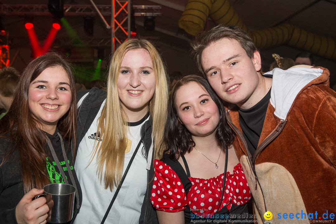 MegaElevenParty Vol.8 - Narrenverein: Bierstetten, 14.01.2017