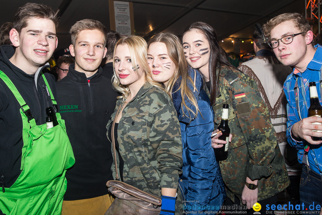 MegaElevenParty Vol.8 - Narrenverein: Bierstetten, 14.01.2017