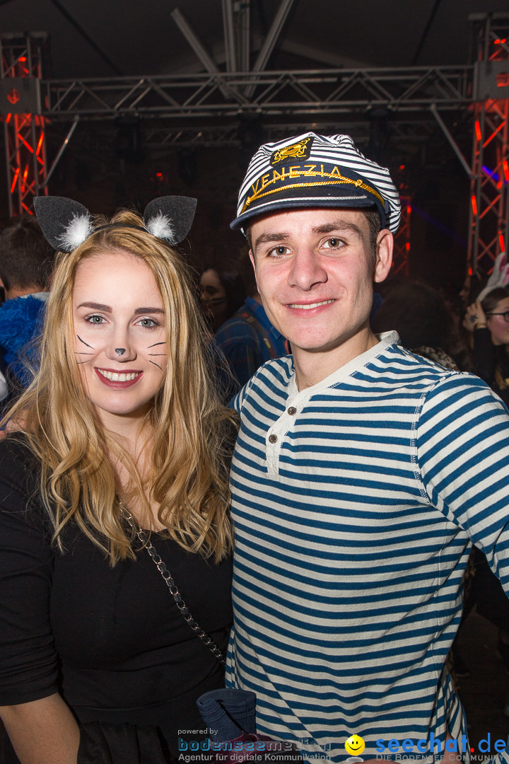 MegaElevenParty Vol.8 - Narrenverein: Bierstetten, 14.01.2017