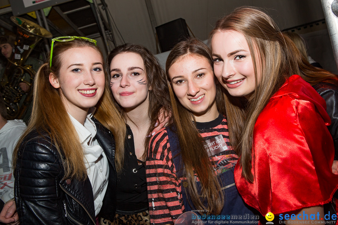 MegaElevenParty Vol.8 - Narrenverein: Bierstetten, 14.01.2017