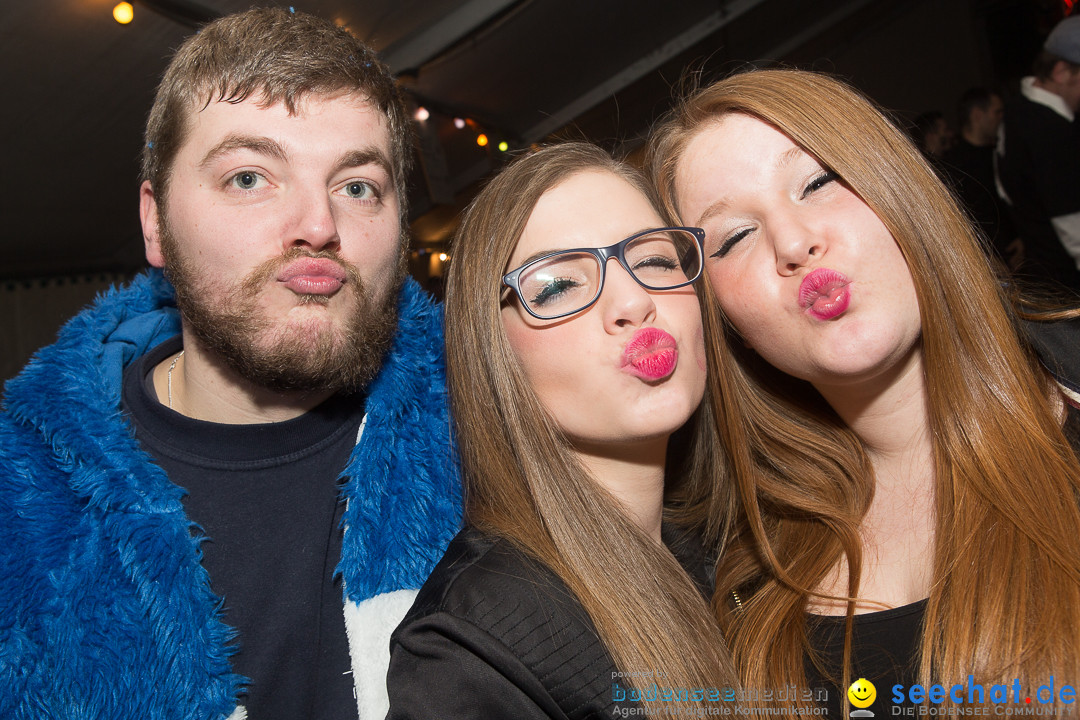 MegaElevenParty Vol.8 - Narrenverein: Bierstetten, 14.01.2017