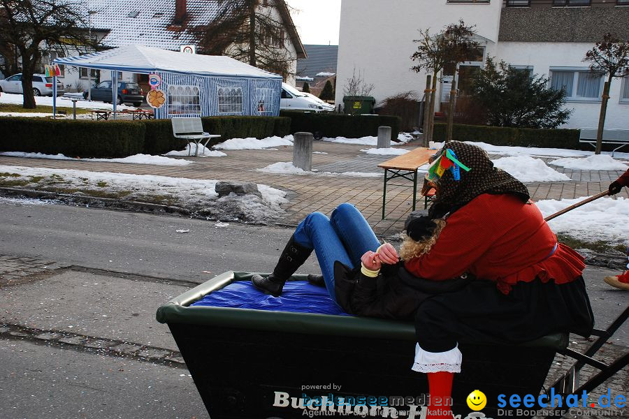 Faschingsumzug: Oberteuringen, 23.01.2010