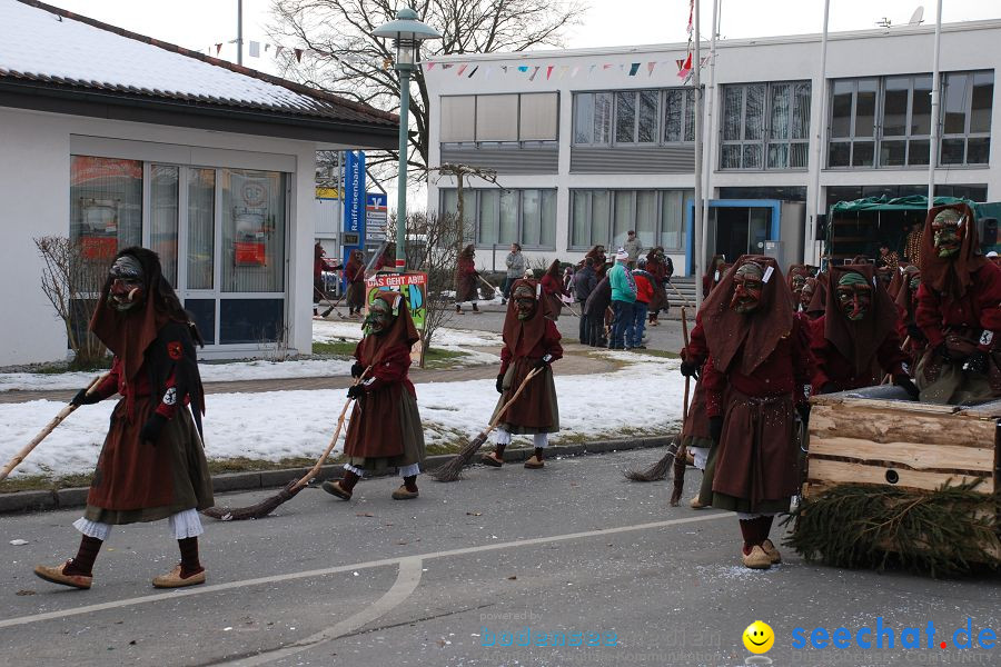 Faschingsumzug: Oberteuringen, 23.01.2010