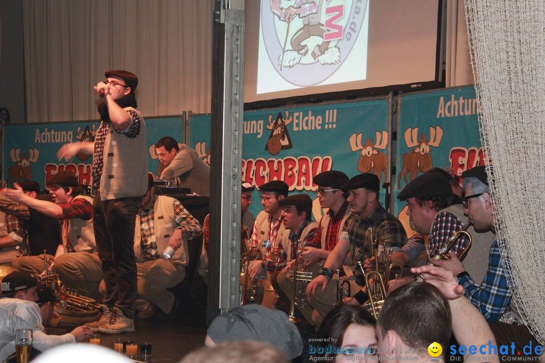 Elchball: Ettenkirch - Friedrichshafen, 20.01.2017