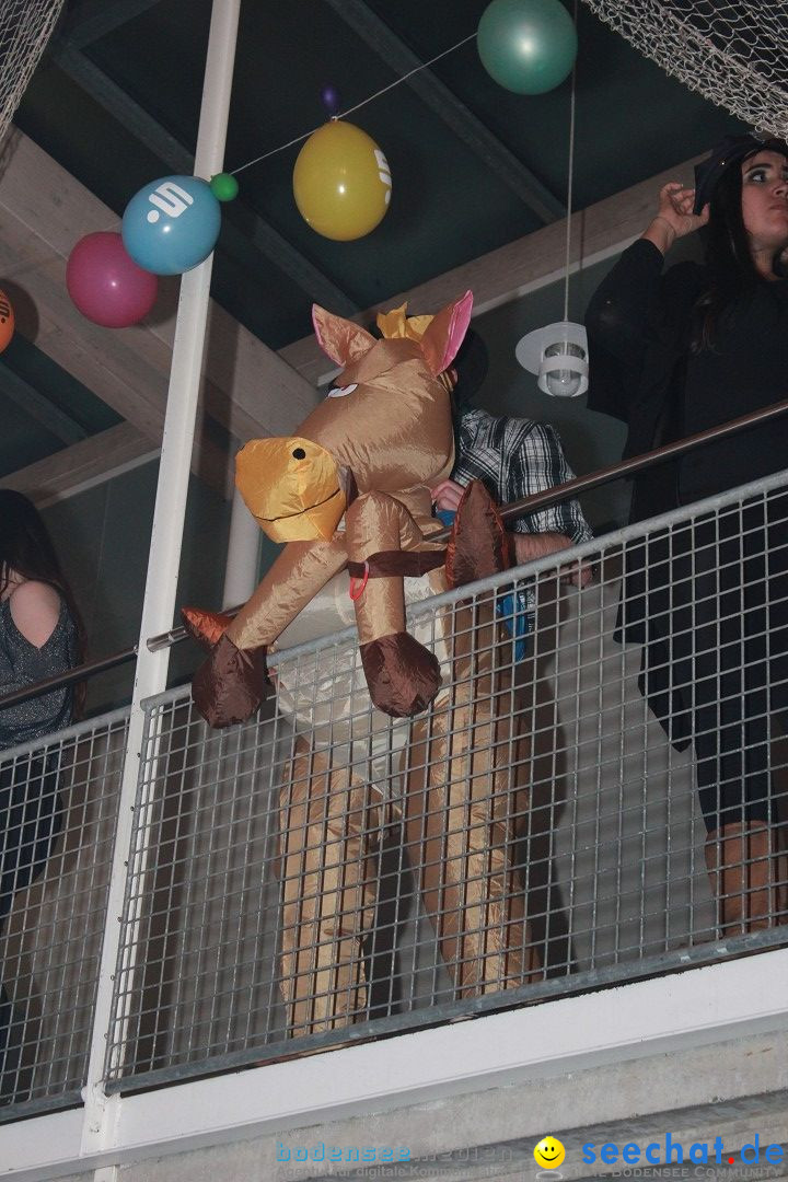 Elchball: Ettenkirch - Friedrichshafen, 20.01.2017