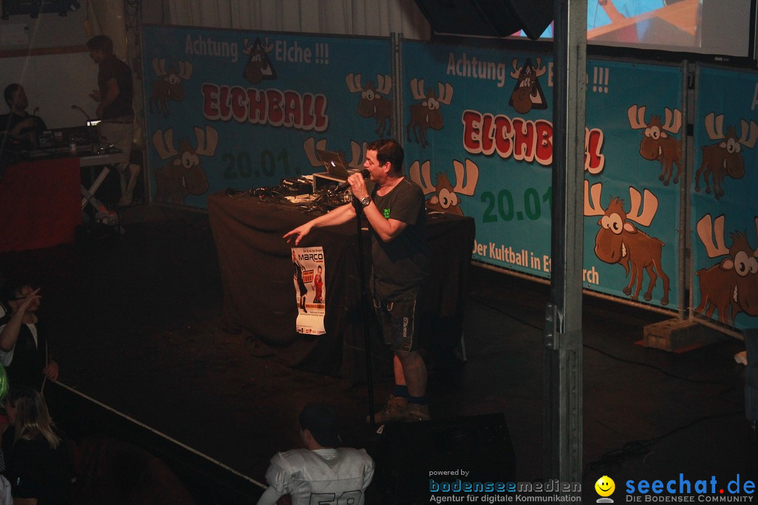 Elchball: Ettenkirch - Friedrichshafen, 20.01.2017