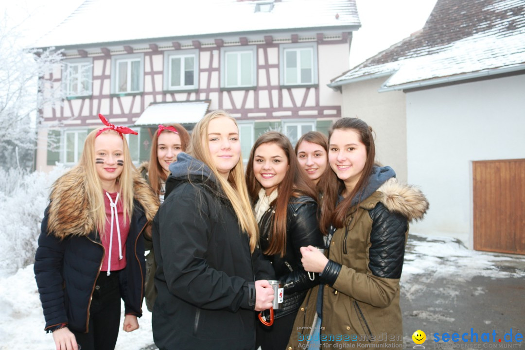 HoTaBo-Narro Umzug und Party: Hohenbodman am Bodensee, 21.01.2017