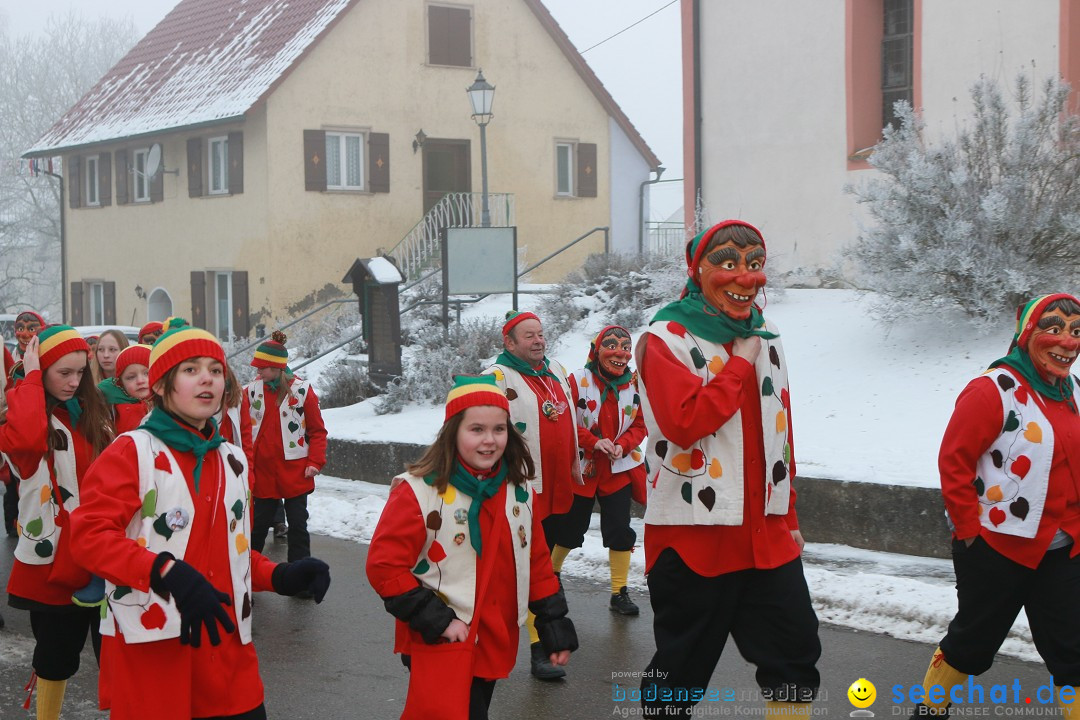 HoTaBo-Narro Umzug und Party: Hohenbodman am Bodensee, 21.01.2017