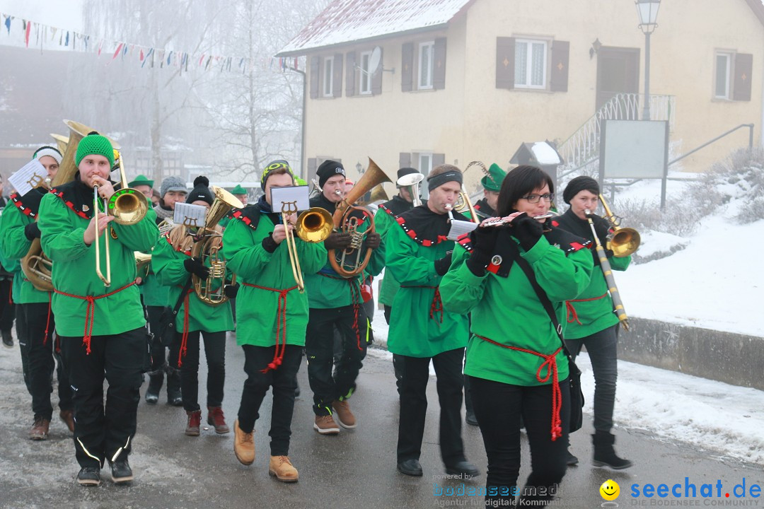 HoTaBo-Narro Umzug und Party: Hohenbodman am Bodensee, 21.01.2017