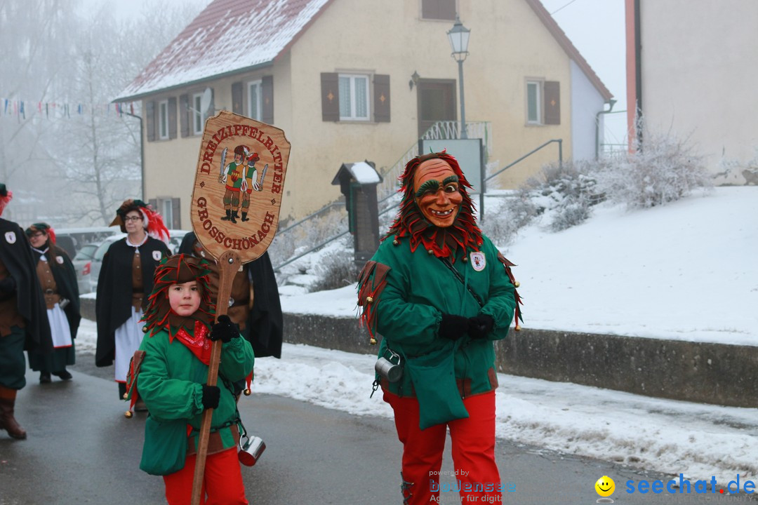 HoTaBo-Narro Umzug und Party: Hohenbodman am Bodensee, 21.01.2017