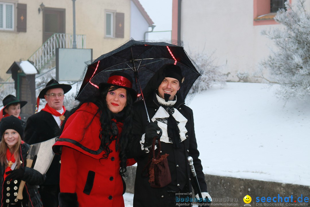 HoTaBo-Narro Umzug und Party: Hohenbodman am Bodensee, 21.01.2017