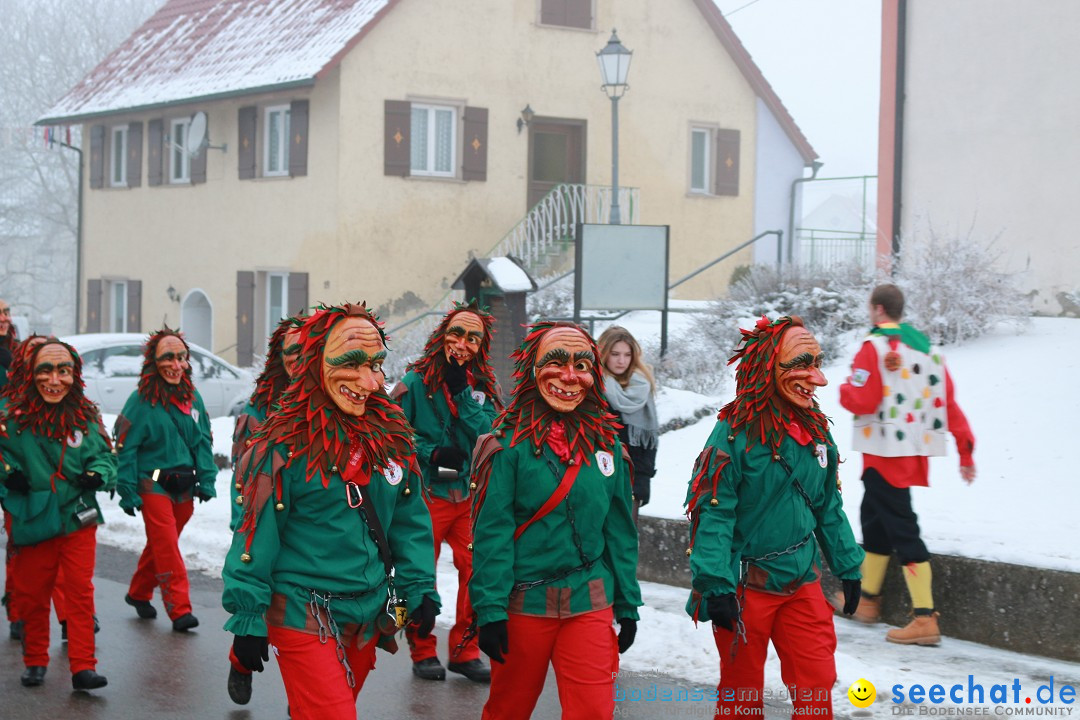HoTaBo-Narro Umzug und Party: Hohenbodman am Bodensee, 21.01.2017
