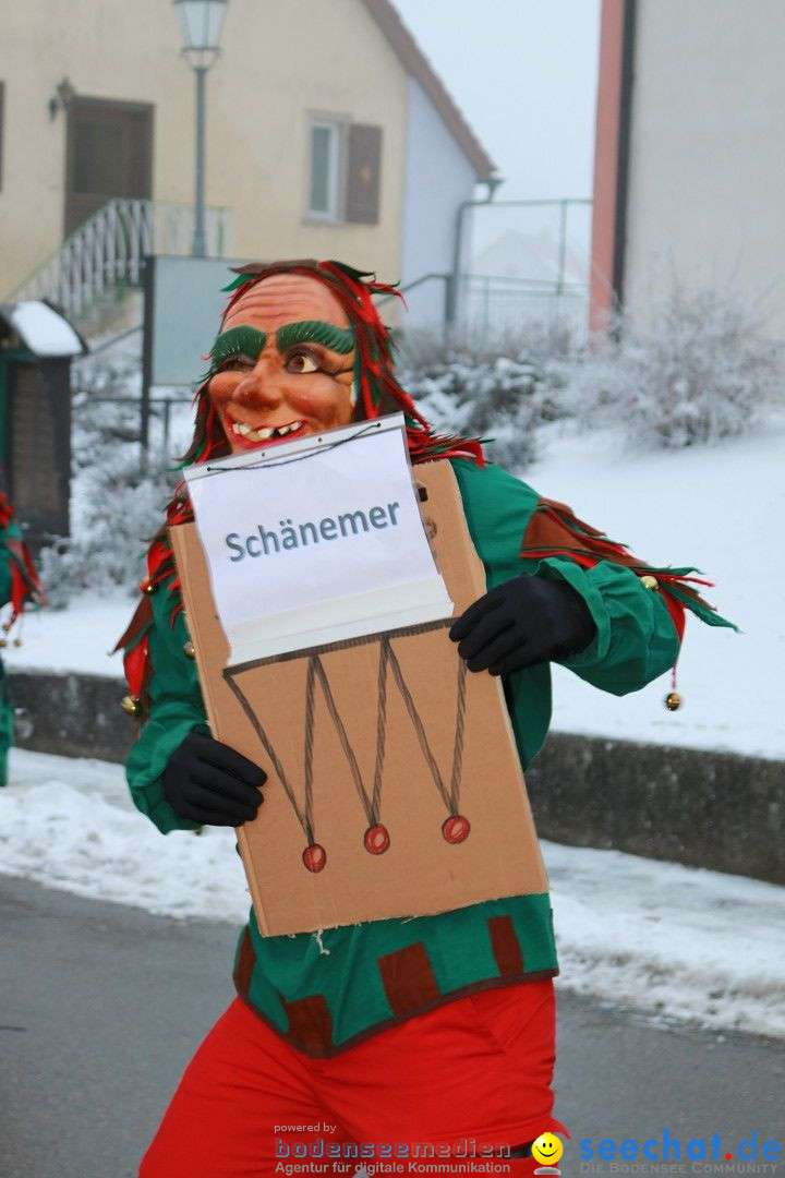 HoTaBo-Narro Umzug und Party: Hohenbodman am Bodensee, 21.01.2017