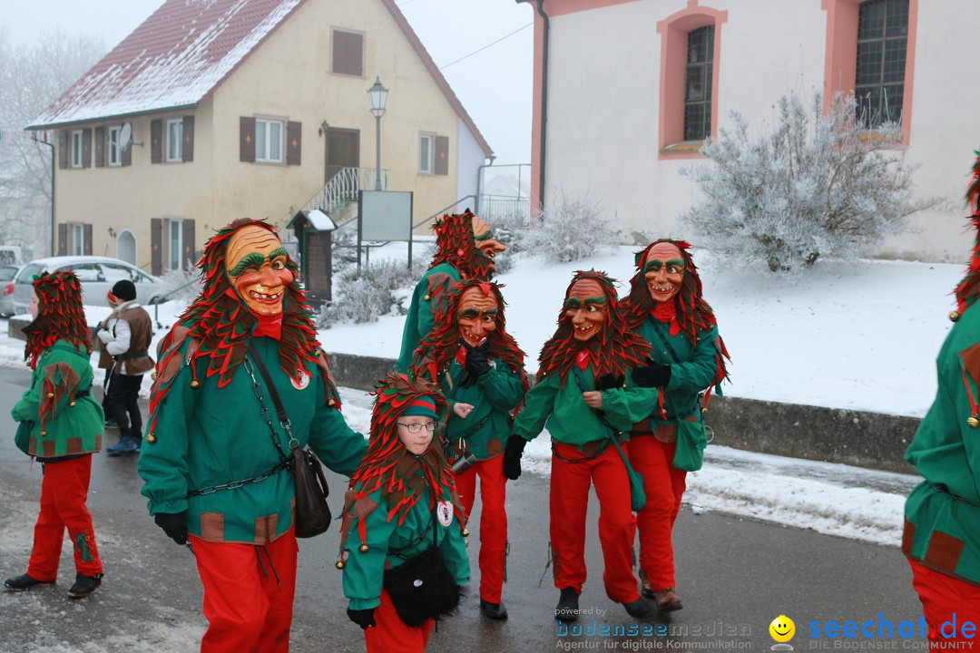 HoTaBo-Narro Umzug und Party: Hohenbodman am Bodensee, 21.01.2017