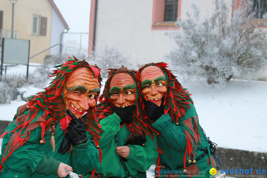 HoTaBo-Narro Umzug und Party: Hohenbodman am Bodensee, 21.01.2017