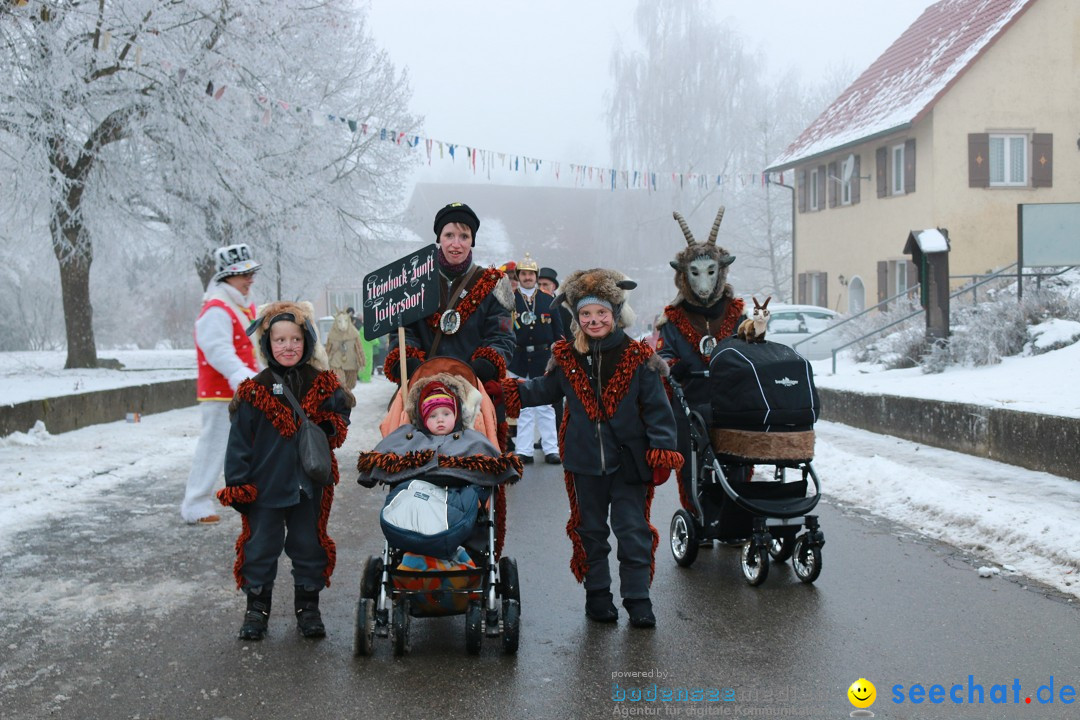 HoTaBo-Narro Umzug und Party: Hohenbodman am Bodensee, 21.01.2017