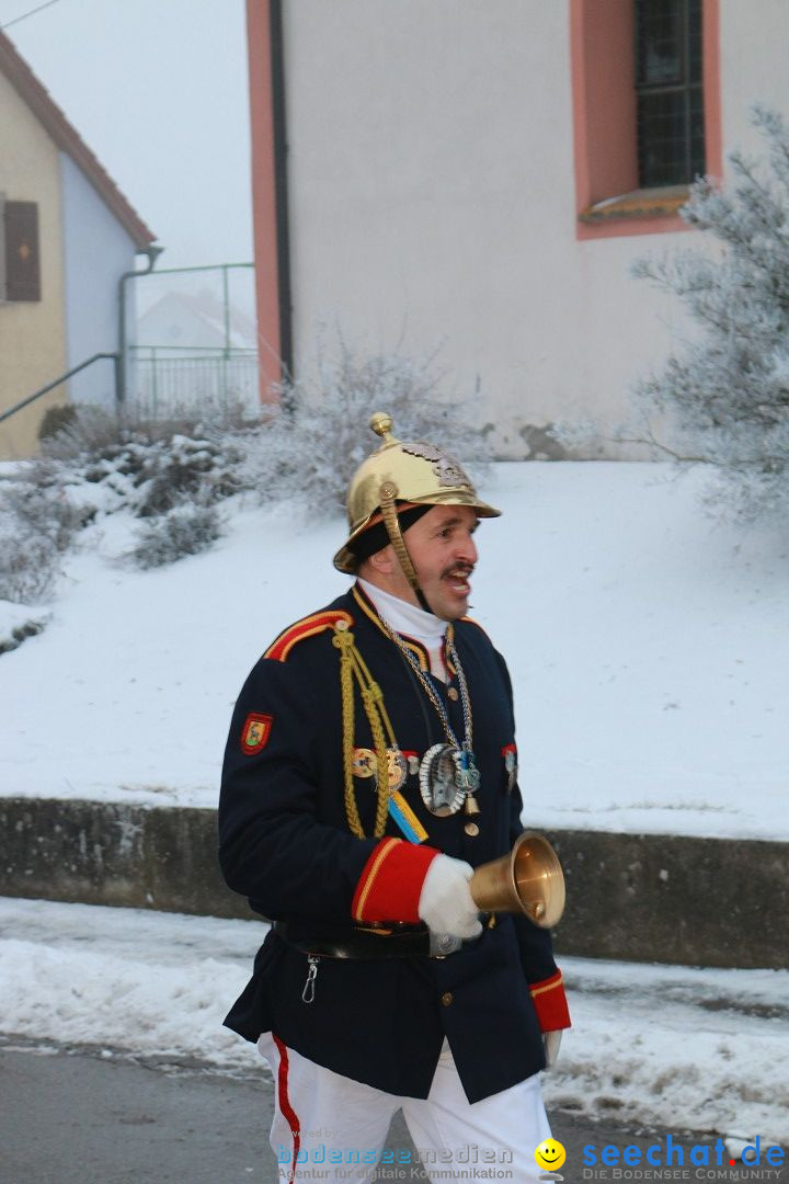 HoTaBo-Narro Umzug und Party: Hohenbodman am Bodensee, 21.01.2017