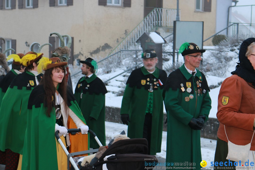 HoTaBo-Narro Umzug und Party: Hohenbodman am Bodensee, 21.01.2017