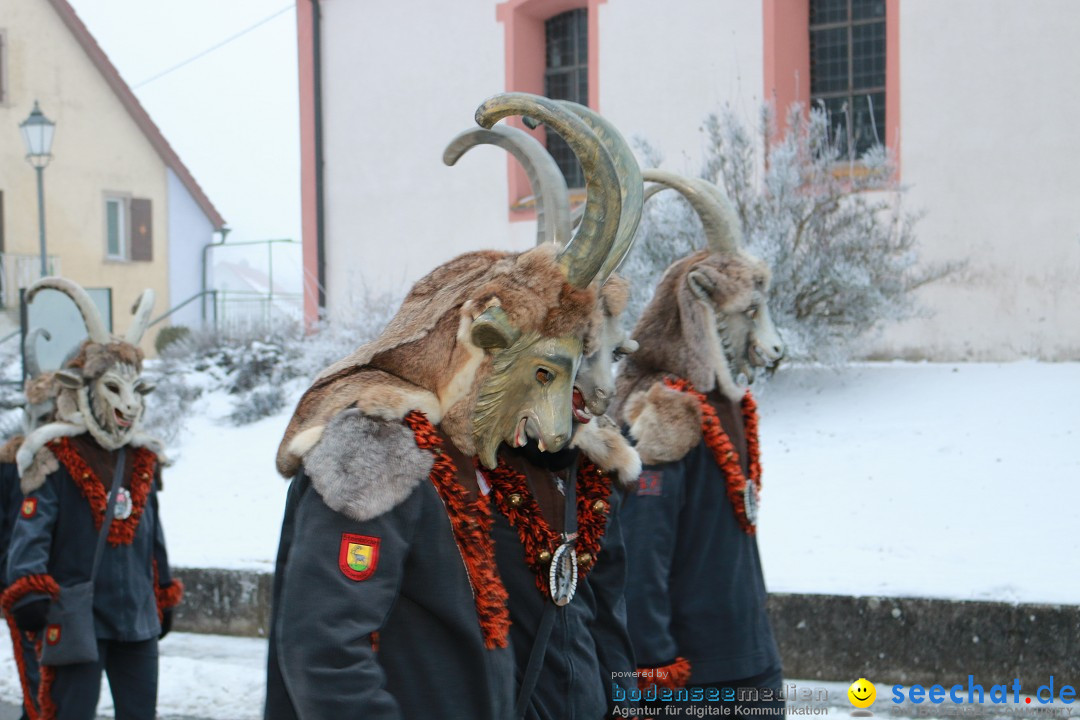 HoTaBo-Narro Umzug und Party: Hohenbodman am Bodensee, 21.01.2017