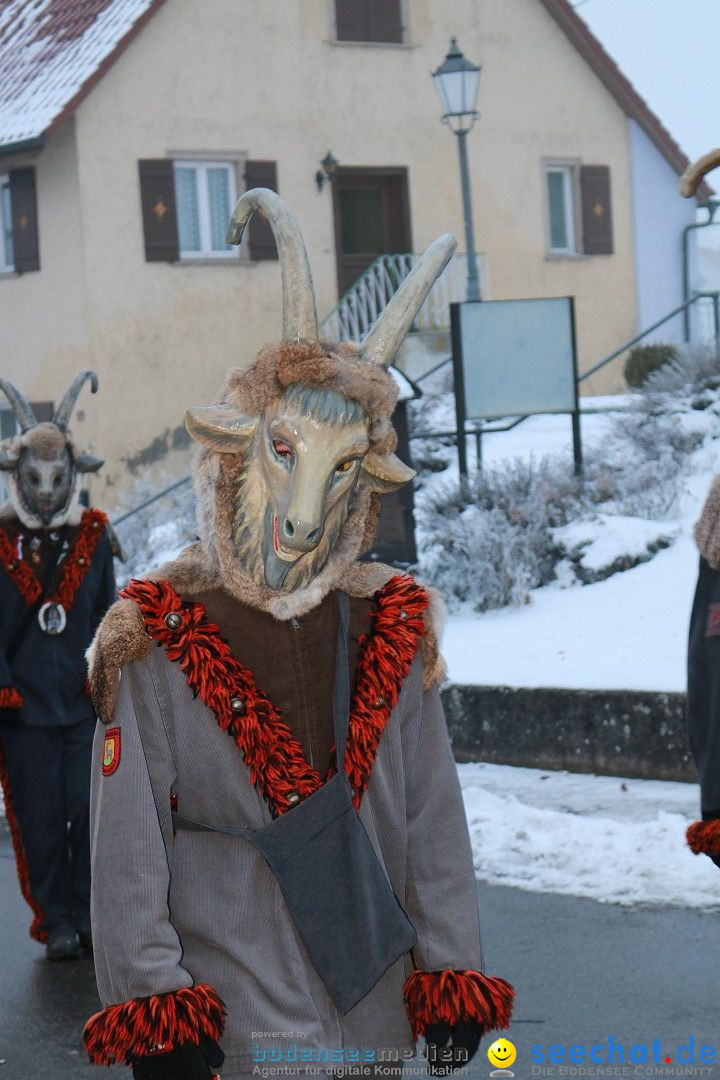 HoTaBo-Narro Umzug und Party: Hohenbodman am Bodensee, 21.01.2017