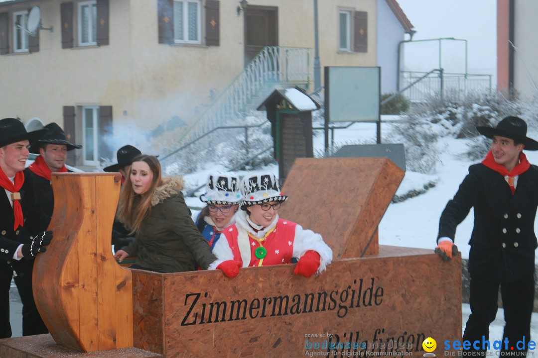 HoTaBo-Narro Umzug und Party: Hohenbodman am Bodensee, 21.01.2017