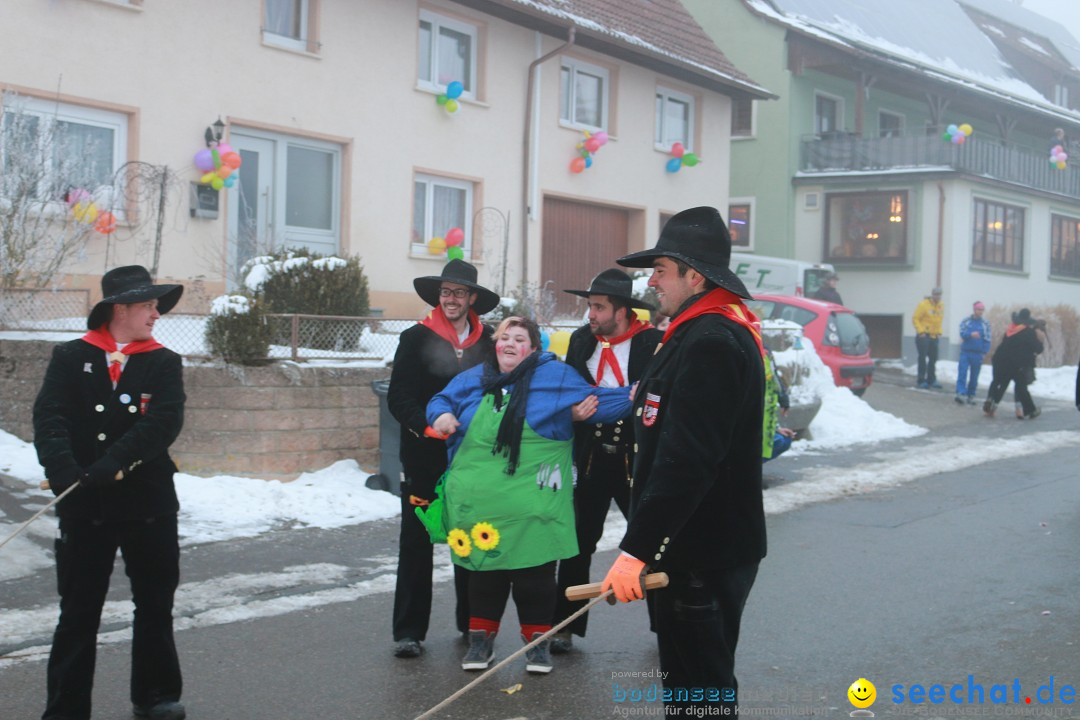 HoTaBo-Narro Umzug und Party: Hohenbodman am Bodensee, 21.01.2017
