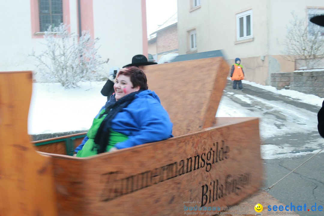 HoTaBo-Narro Umzug und Party: Hohenbodman am Bodensee, 21.01.2017