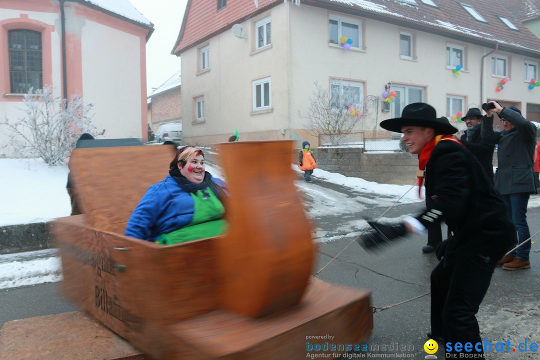 HoTaBo-Narro Umzug und Party: Hohenbodman am Bodensee, 21.01.2017