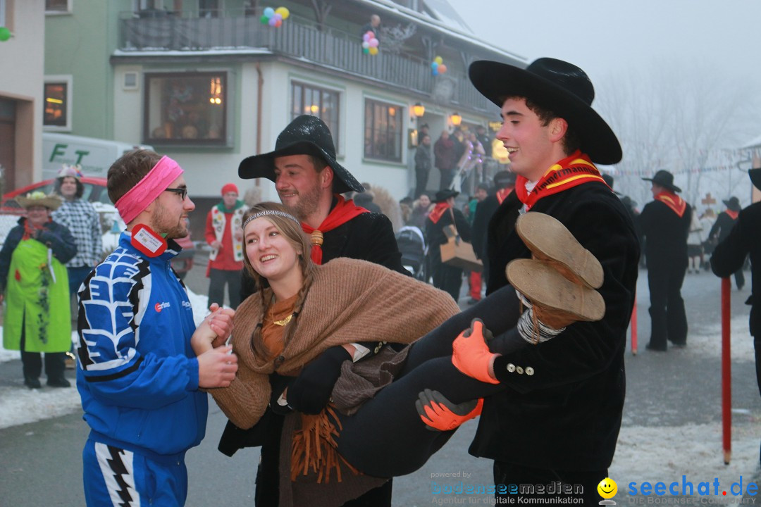 HoTaBo-Narro Umzug und Party: Hohenbodman am Bodensee, 21.01.2017