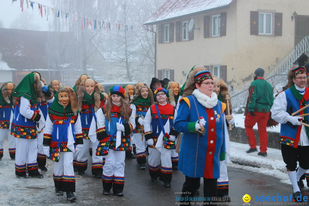 HoTaBo-Narro Umzug und Party: Hohenbodman am Bodensee, 21.01.2017