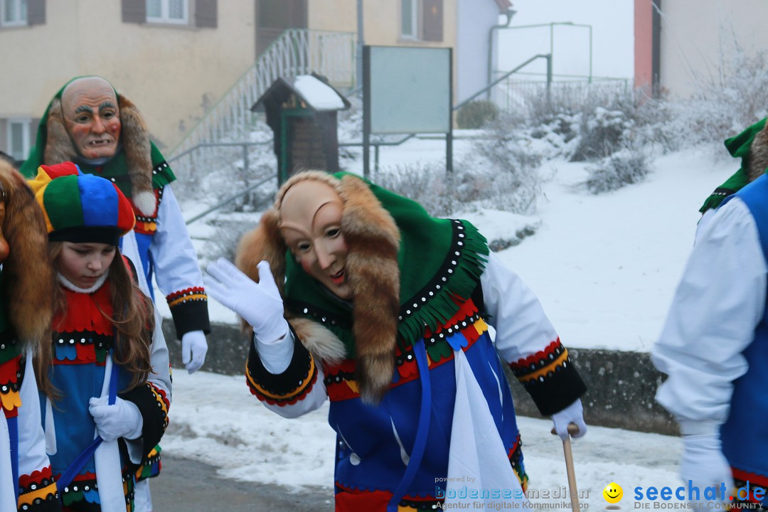 HoTaBo-Narro Umzug und Party: Hohenbodman am Bodensee, 21.01.2017