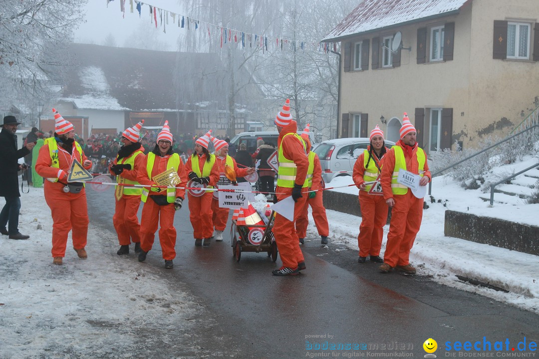 HoTaBo-Narro Umzug und Party: Hohenbodman am Bodensee, 21.01.2017