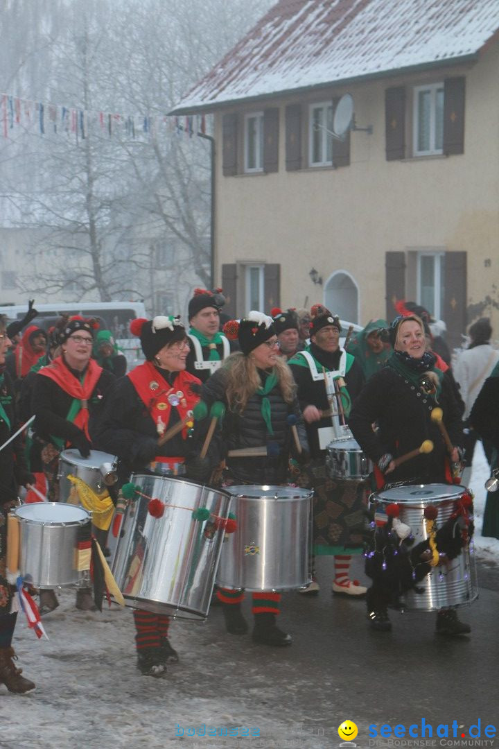 HoTaBo-Narro Umzug und Party: Hohenbodman am Bodensee, 21.01.2017