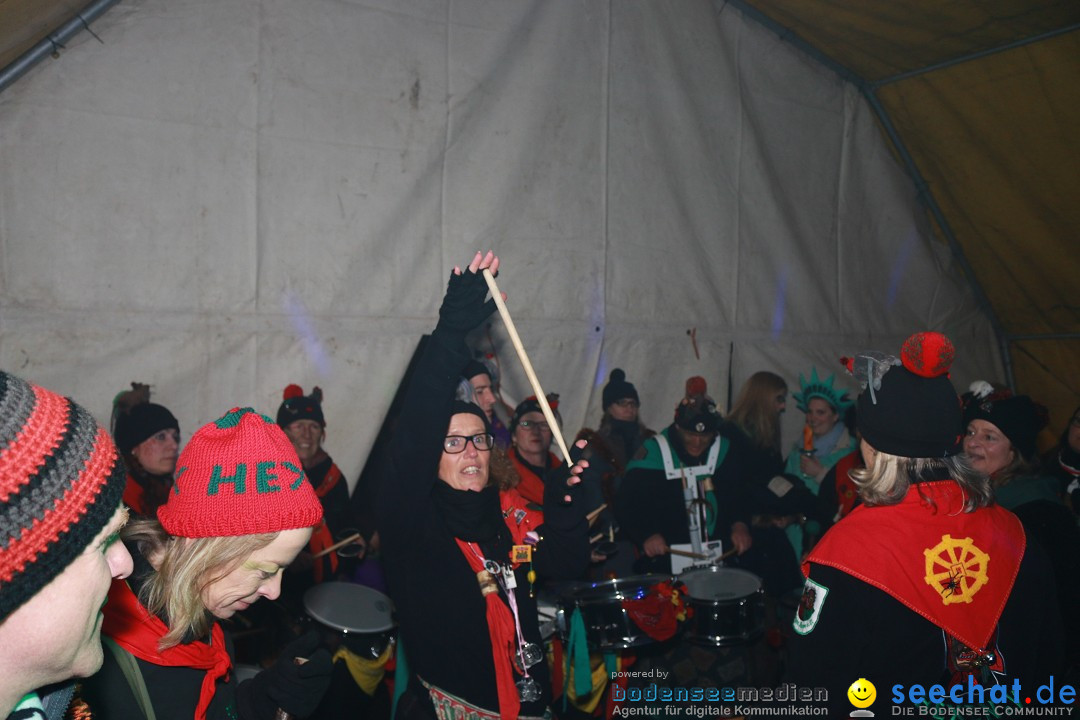 HoTaBo-Narro Umzug und Party: Hohenbodman am Bodensee, 21.01.2017