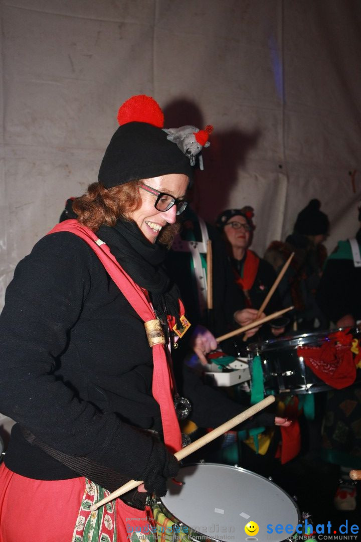 HoTaBo-Narro Umzug und Party: Hohenbodman am Bodensee, 21.01.2017